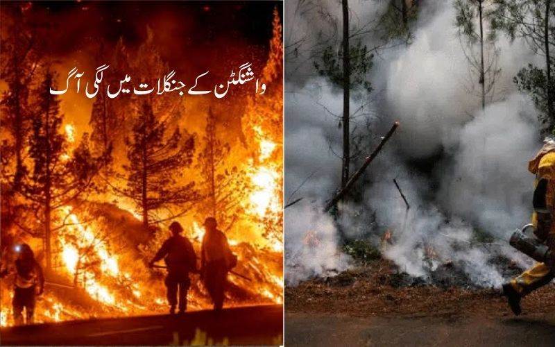 واشنگٹن میں آگ بھڑک اٹھی: 65ہزارافراد محفوظ مقامات پر منتقل، ہنگامی حالت کا اعلان